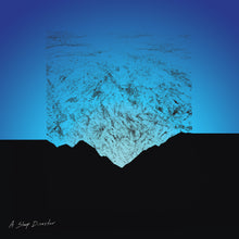 Load image into Gallery viewer, MIGUEL MENDEZ 'a sleep disaster' 12" vinyl