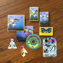 Load image into Gallery viewer, BOO HISS 'psyche birds' pro-dvdr / cassette / stickers
