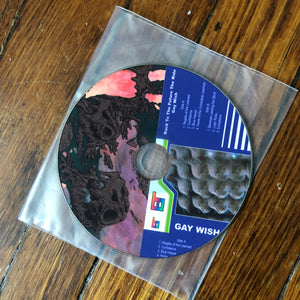 BACK TO THE FUTURE THE RIDE 'gay wish' / 'neutrino based lifeforms' pro-CDr