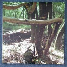 Load image into Gallery viewer, RROPE &#39;we are you there&#39; triple 12&quot;